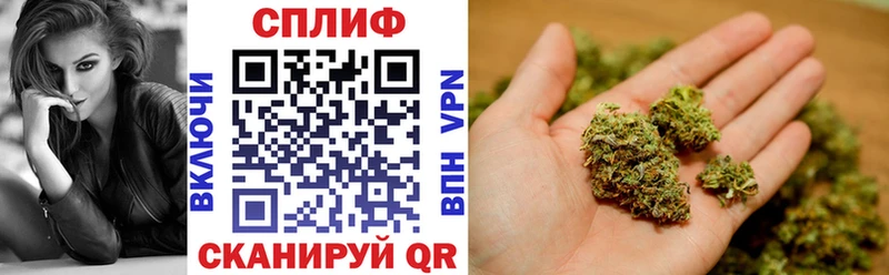mega зеркало  как найти наркотики  Бузулук  Канабис план 